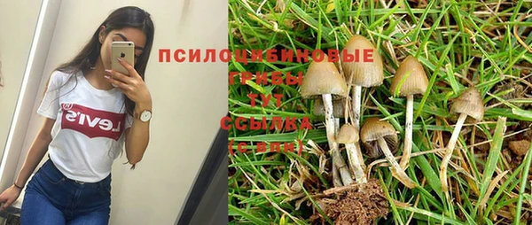 ешки Алзамай