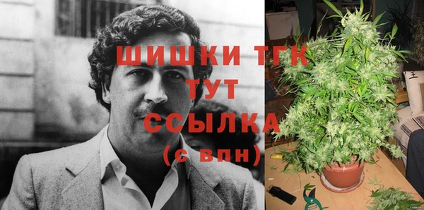 ешки Алзамай