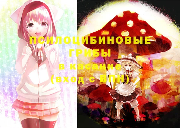 винт Абаза