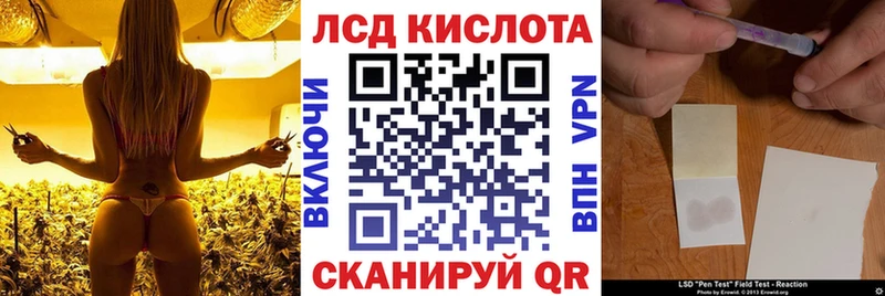 ссылка на мегу зеркало  купить наркотики сайты  Людиново  Марки 25I-NBOMe 1,5мг 
