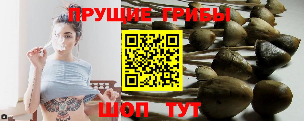 Людиново  Псилоцибиновые грибы мухоморы  Вход с VPN 
