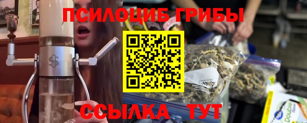 Псилоцибиновые грибы Psilocybine cubensis Людиново